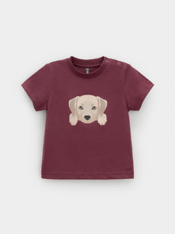 КР 302907/коричневый 1614 к630 фуфайка (футболка) д/мал яс