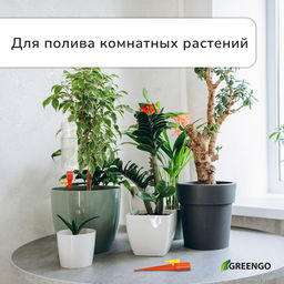 Цена за 12 шт. Автополив для комнатных растений под бутылку, регулируемый, с краном, пластик, высота 15 см, МИКС, Greengo  фото 2