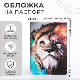 Цена за 2 шт. Обложка для паспорта, цвет разноцветный