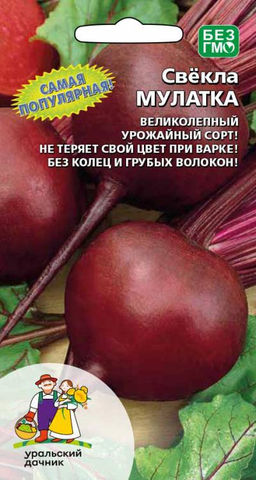 Свёкла МУЛАТКА  Без колец и грубых волокон! Тёмный, глубокий и насыщенный цвет! Не теряет свой цвет при варке!
