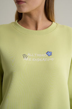 Свитшот Светло-зеленый ANTA SKATE Sweatshirt фото 11