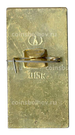 Значок Павловск