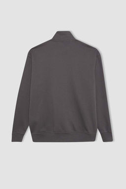 Толстовка Comfort Fit с воротником-стойкой на молнии - Defacto фото 8