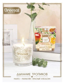 Breesal ароматическая свеча Aroma Sphere Дыхание тропиков 170 г фото 3