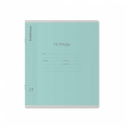 Цена за 160 шт. Тетрадь школьная ученическая ErichKrause Классика Visio ассорти, 24 листа, линейка (в плёнке по 10 шт.) фото 6