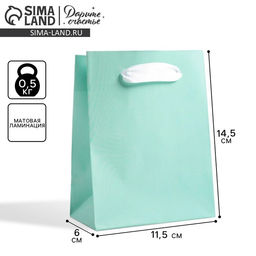 Цена за 3 шт. Пакет подарочный, упаковка, «Мятный», 12×15×5.5