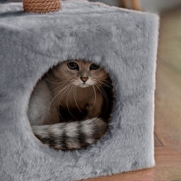 Домик для животных, с когтеточкой и полкой, джут, 32 х 32 х 64 см, серый - Simaland фото 12