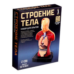 Научный опыт Строение тела - Эврики фото 22