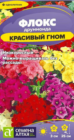 Флокс Красивый гном 0,05г (Семена Алтая)