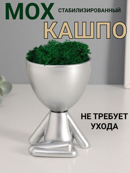Стабилизированный мох в кашпо пластиковом Мистер Грин йог, 10.57.57.3 см, серебро