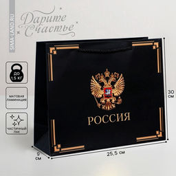 Пакет подарочный, упаковка, «Россия в душе моей», 30×25.5×9 см