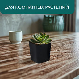 Цена за 20 шт. Горшок для рассады, 500 мл, 8.5×8.5×9.5 см, пластик, чёрный, Greengo