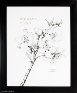 Фоторамка 40х50 / 2900A-012C /,ф