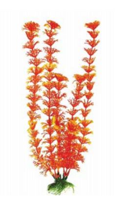 Растение Plant 021 Кабомба ОРАНЖЕВАЯ , 10см PLANT 021/10