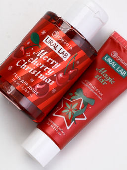 Подарочный набор косметики New Year Collection, гель для душа, крем для рук, пилочка, красный, URAL LAB