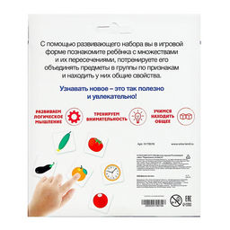 Развивающий набор Пересечение множеств - Iq-zabiaka фото 7