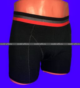 Цена за 1 шт. Боксеры трусы мужские Турция арт. 2066-6 L (48-50) - Астекс фото 4