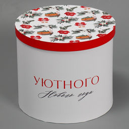Коробка подарочная Уютного нового года, 19,5 22 см