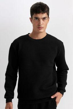 Siyah Regular Fit Bisiklet Yaka Jakarl? Sweatshirt