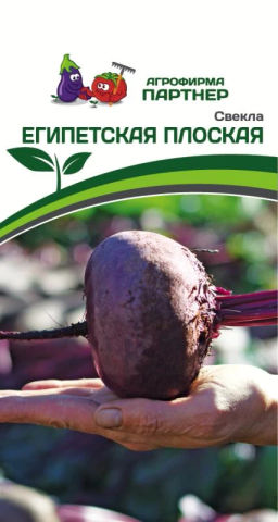 Свекла Египетская Плоская - Партнер фото 2
