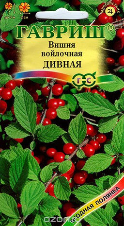 Вишня Дивная войлочная 0,5гр (г)