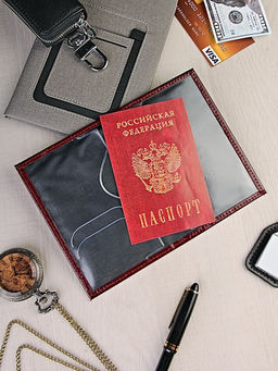 YW-34 Обложка на паспорт A-075 - Barez фото 7