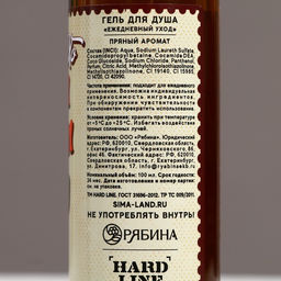 Гель для душа мужской С Новым Годом, бро!, 100 мл, аромат пряный, Чистое счастье  фото 4
