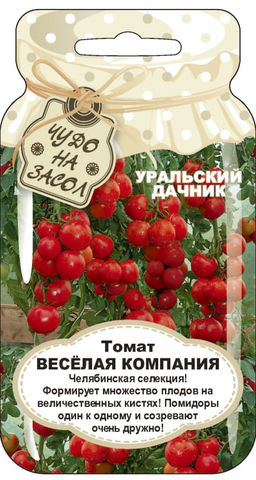Томат ВЕСЁЛАЯ КОМПАНИЯ Формирует множество плодов на величественных кистях! Плоды один к одному и созревают очень дружно! - Уральский дачник фото 5