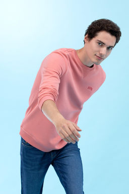 Somon Bisiklet Yaka Basic Sweatshirt