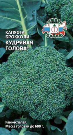 Кудрявая голова брокколи капуста 0,5гр (с)