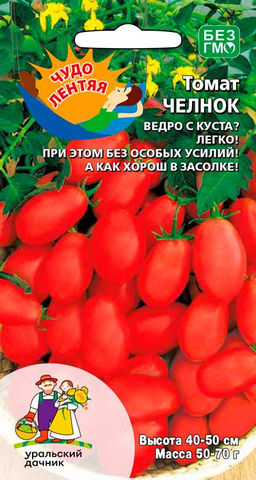 Томат ЧЕЛНОК Чудесный томат для начинающих садоводов! Ведро с каждого куста, при этом без особых усилий! А как хорош в засолке!