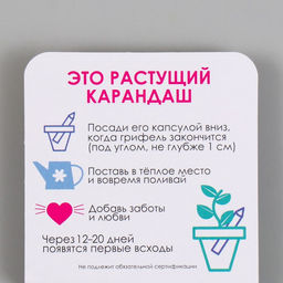 Цена за 2 шт. Растущий карандаш подарочный «Лаванда», mini, простой чернографитный