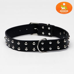 Ошейник клёпаный в 2 ряда, 65 х 3,4 см, ОШ 50-60 см, чёрный