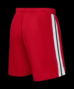 Шорты баскетбольные JOGEL DIVISION PerFormDRY Shorts R2, красный  фото 3