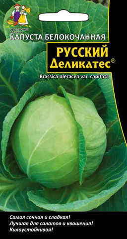 Капуста РУССКИЙ ДЕЛИКАТЕС Самая сочная и сладкая! Лучшая для салатов и квашения! Килоустойчивая!