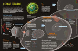 Тайны тела человека. Большая иллюстрированная энциклопедия. Сориано Д. - Махаон фото 6