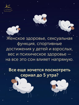 Никто не спит. 7 стратегий для здоровья и счастья. Джон Б. - Колибри фото 6