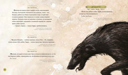 Гарри Поттер. Год с волшебством (илл. Джима Кея). Роулинг Дж.К. - Махаон фото 5