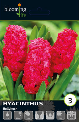 64c1f76c99f62c7d0ecf007768e2a7fa3vujt348glm9wjv020