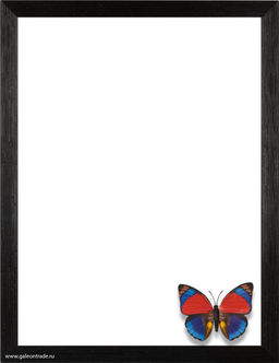Рамка для картины на холсте 40х50 / 2009C-012C /