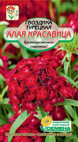 Алая красавица турецкая гвоздика 0,1гр (ссс)