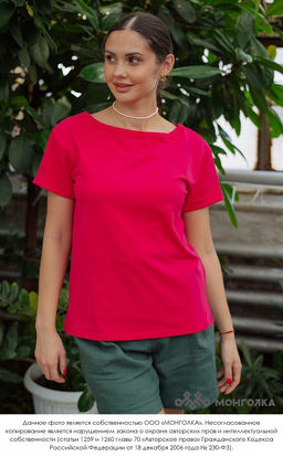 Футболка с подворотом (арт. 101039-5), ООО МОНГОЛКА