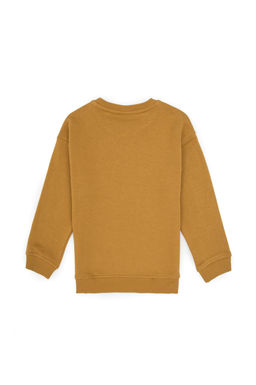 Erkek _ocuk Hardal Bisiklet Yaka Basic Sweatshirt - U.s. polo assn фото 2