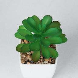 Цветочная композиция Кактус / WER-19 /уп 12/192/ микс - Галеонтрейд фото 11