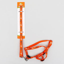 Комплект амуниции Собачки, поводок 120 х 1 см, ОГ 27-42 см, оранжевый - Пижон фото 6