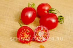 Томат Моне - Партнер фото 7