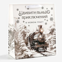 Пакет подарочный новогодний ламинированный «Приключений в новом году», тиснение, ML 23×27×11.5 см