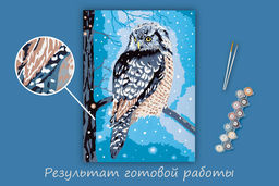 ФРЕЯ PKZ/PM-091 Набор для раскрашивания по номерам (на картоне) 40 х 30 см Сова в сумерках