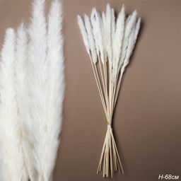 6508564100b61e8d852ae7262c3ff70decuw7aje1mhn6s2au