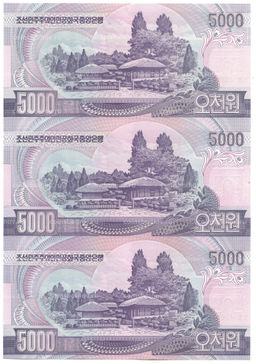 Банкнота 5000 вон 2006 года Северная Корея  Лист из трех банкнот